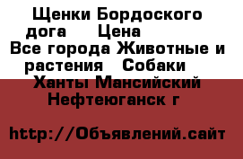 Щенки Бордоского дога.  › Цена ­ 30 000 - Все города Животные и растения » Собаки   . Ханты-Мансийский,Нефтеюганск г.